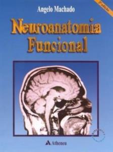 Neuroanatomia funcional